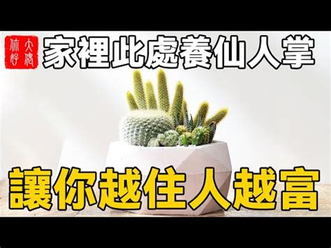 仙人掌防小人|仙人掌防小人房間：如何利用仙人掌化解小人問題 – 植物盆栽綠寶典